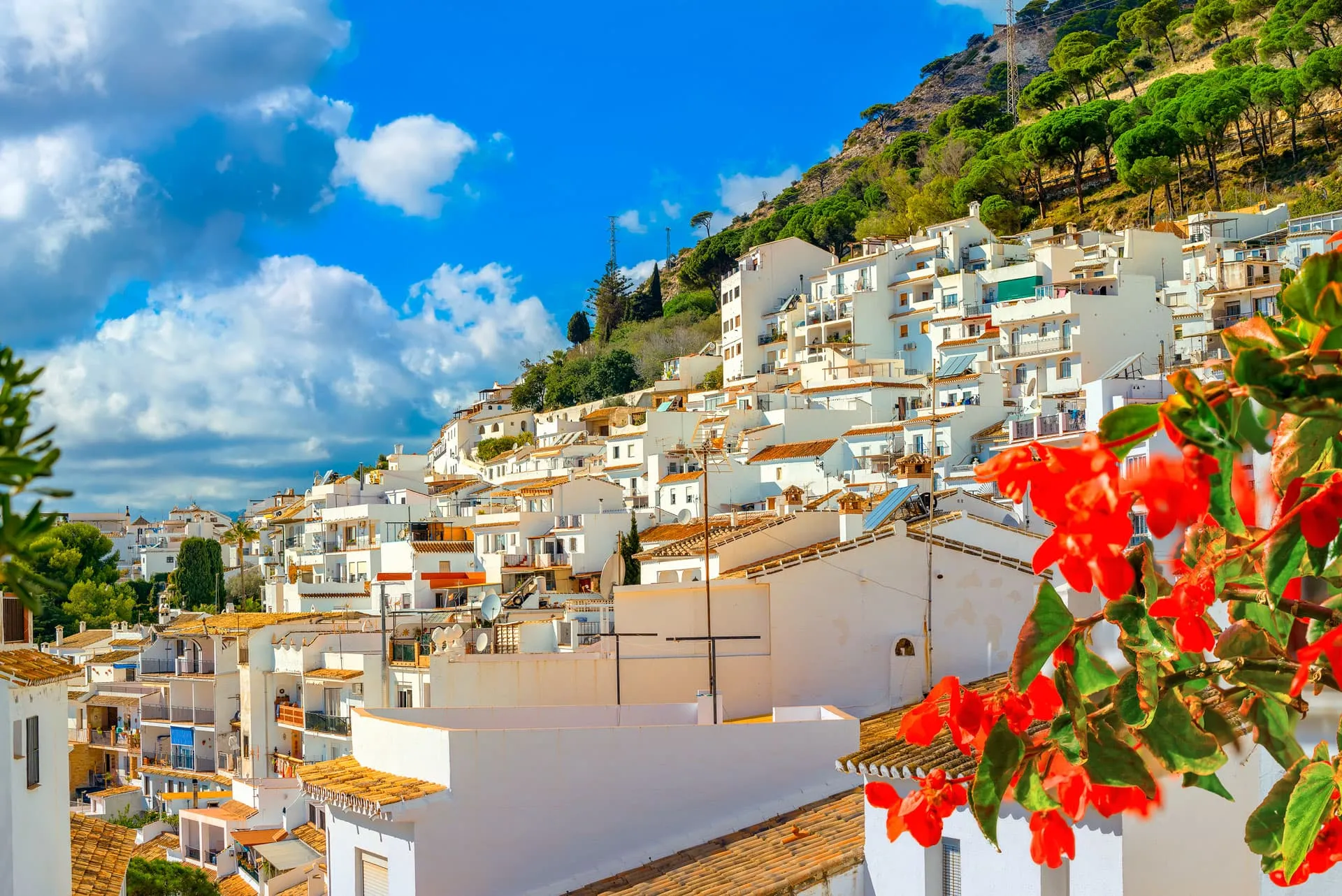 Empresa antiokupa en Mijas