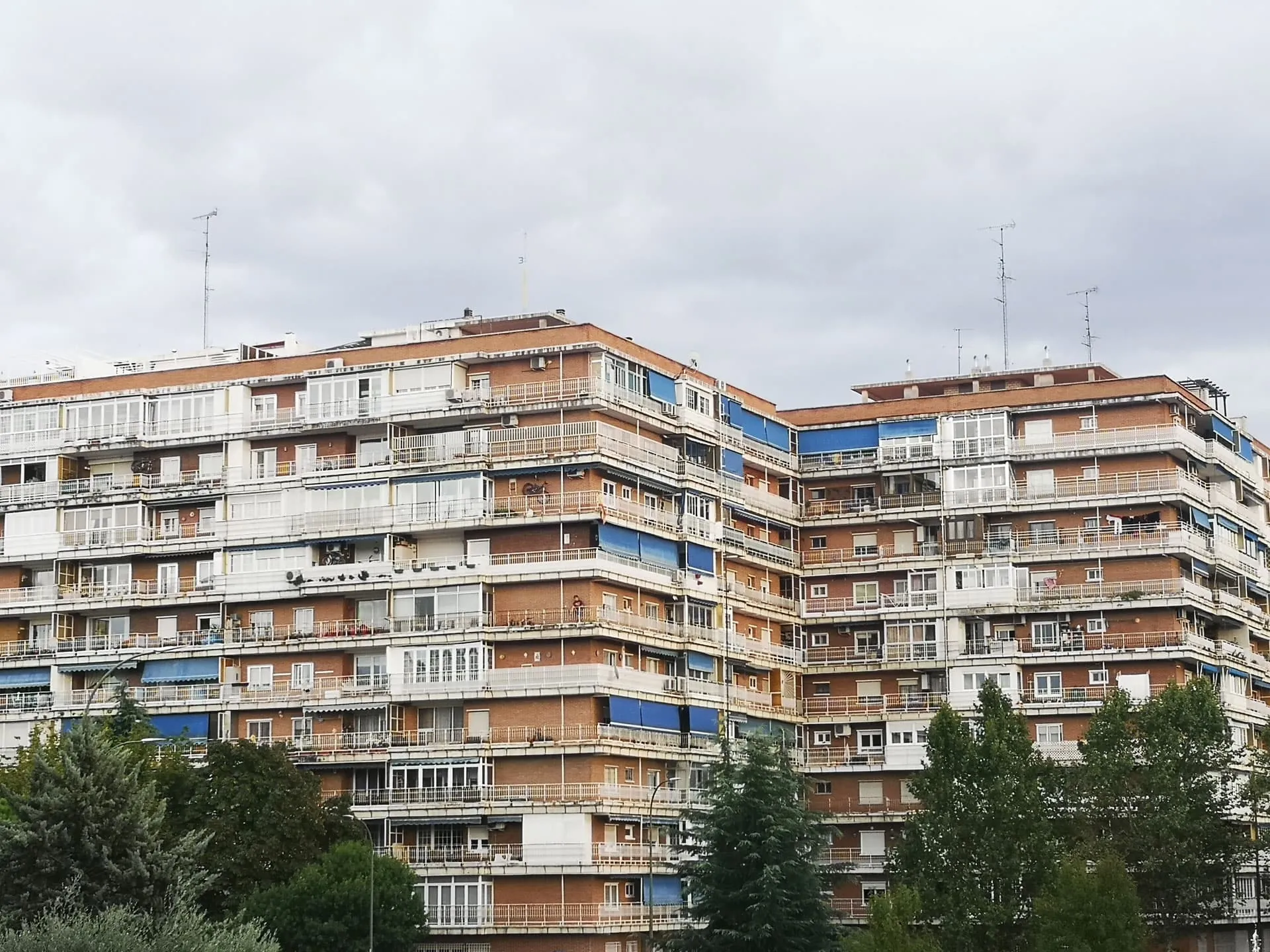 Echar a okupas en Móstoles