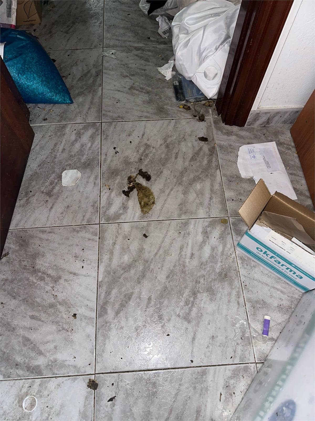 Inmueble recuperado en Camariñas inquilinos morosos - Imagen 3