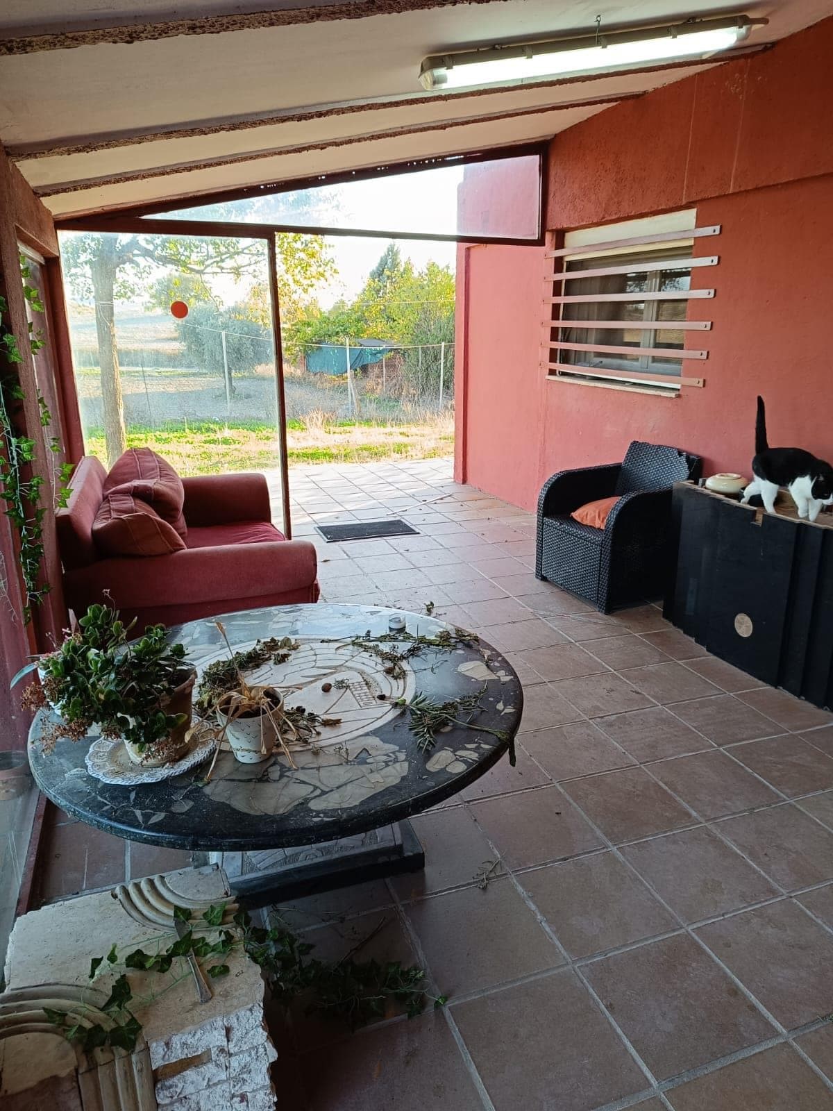 Inmueble recuperado en Colmenar de Oreja Inquilinos morosos - Imagen 14