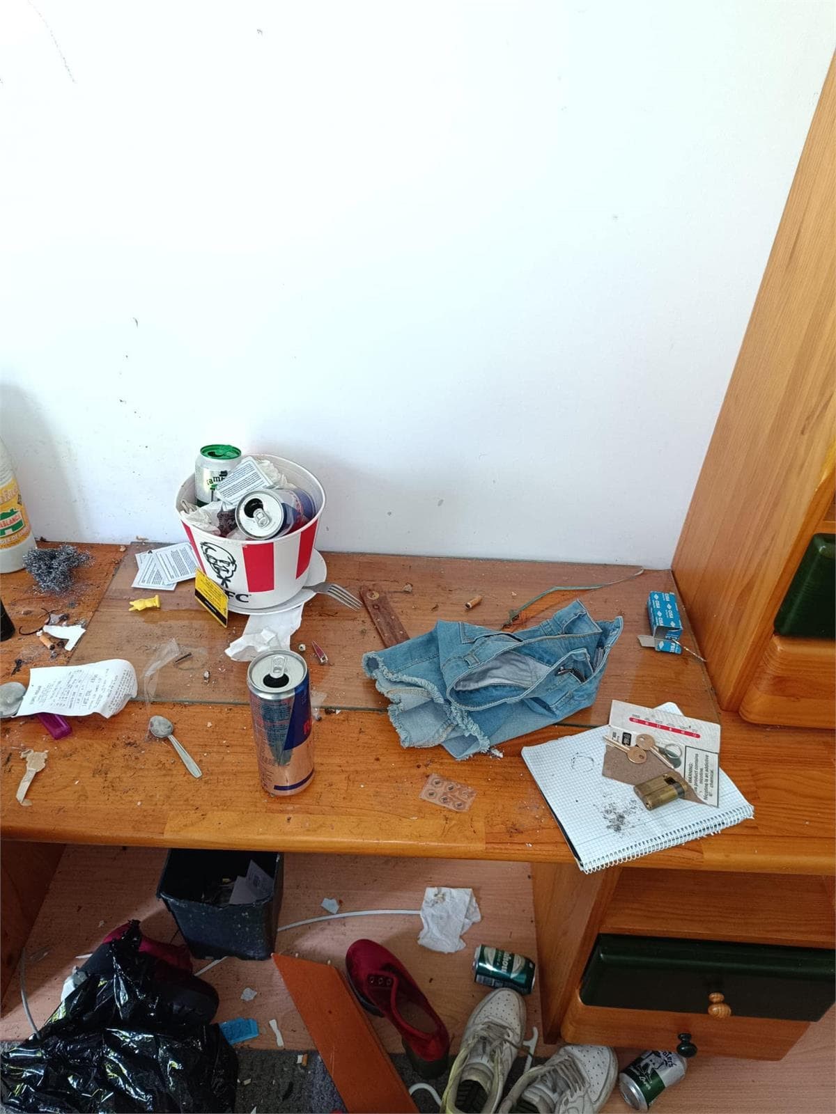 Inmueble recuperado en la ciudad de Leganés inquilino moroso - Imagen 13