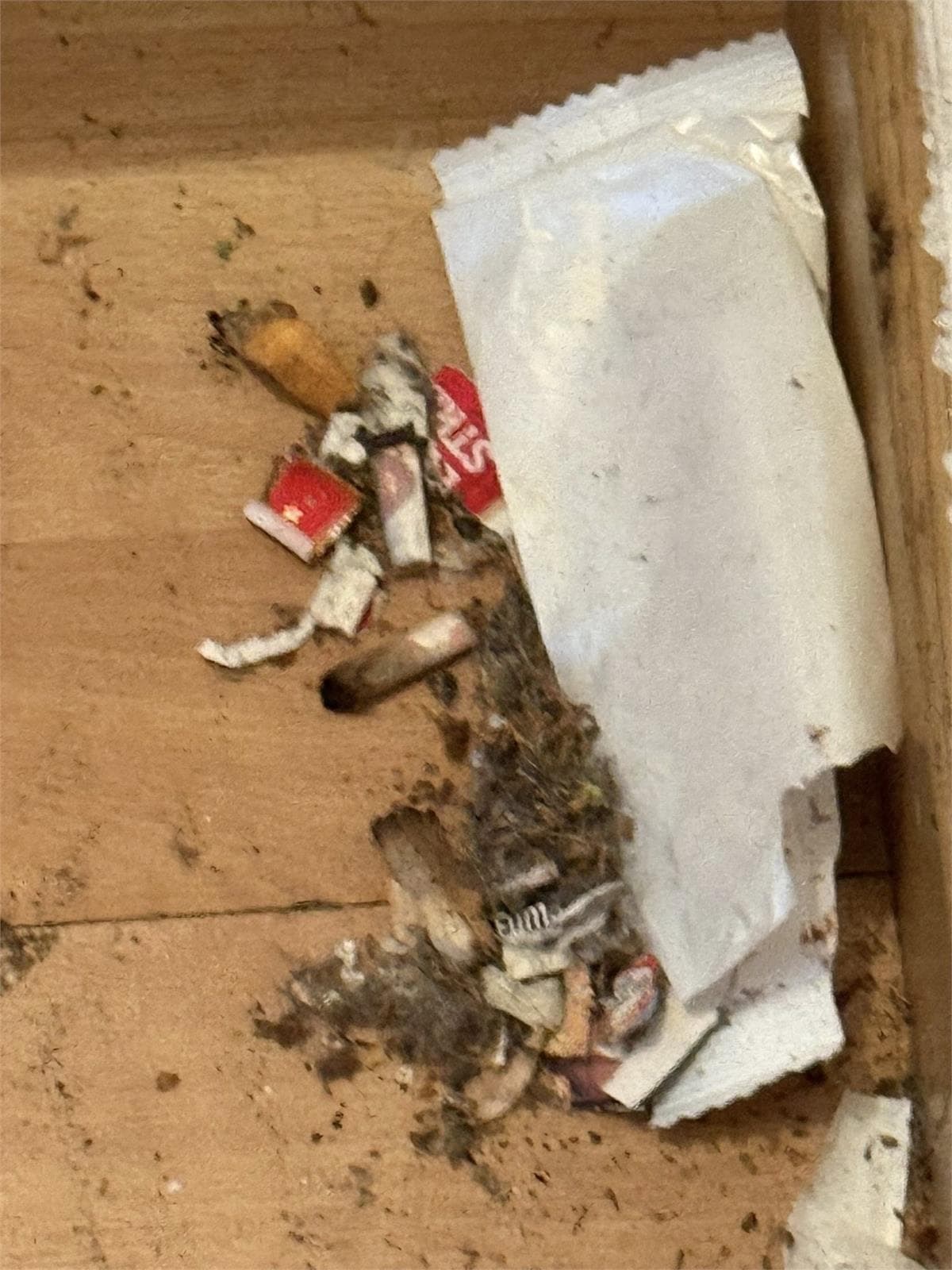 Inmueble recuperado en la ciudad de Salamanca inquilino en precario, menudeo de heroína extorsión a vecinos y propietario mayor - Imagen 13