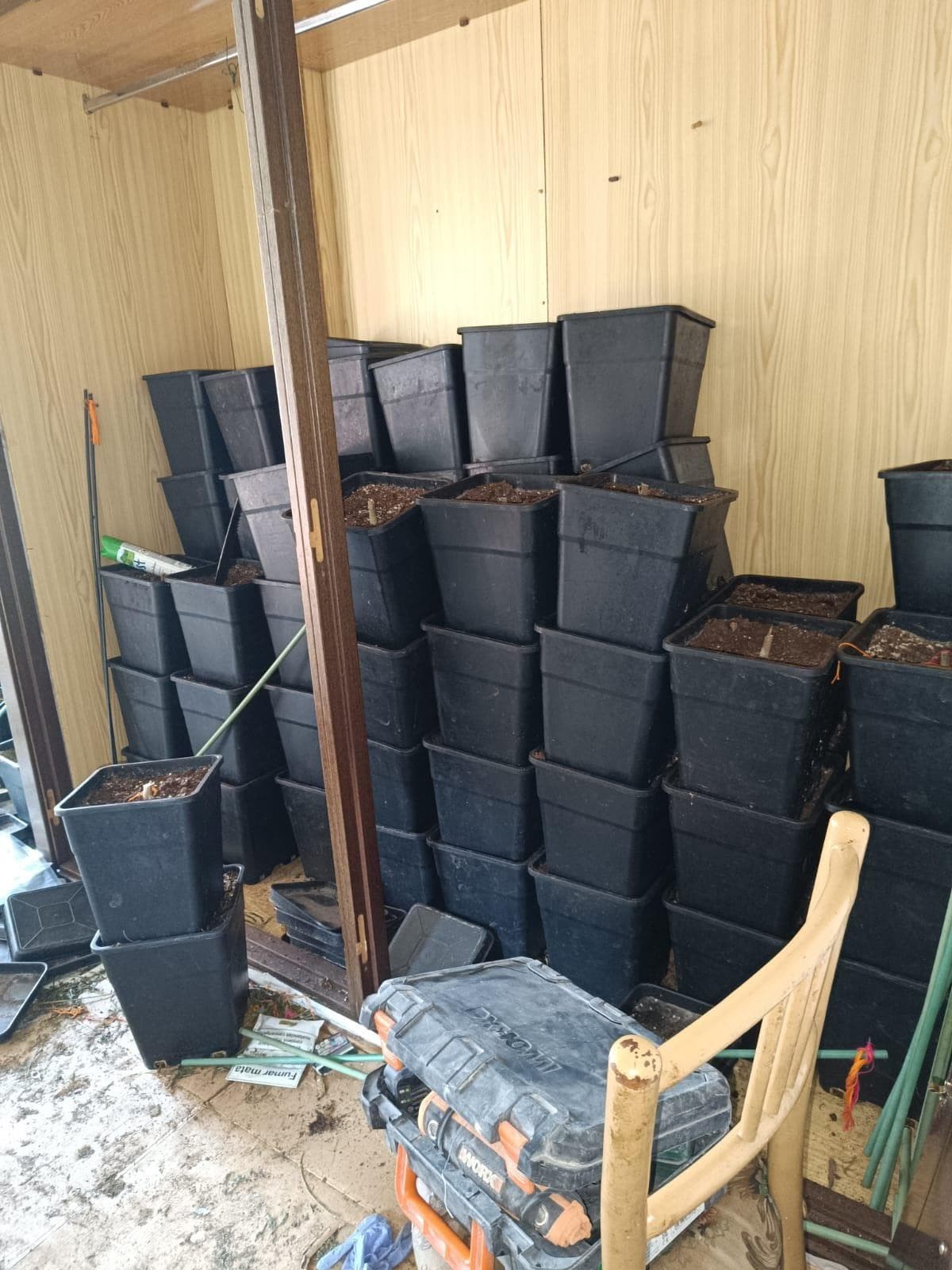 Inmueble recuperado en Miraflores de la sierra Vivienda usada para el cultivo de marihuana - Imagen 10