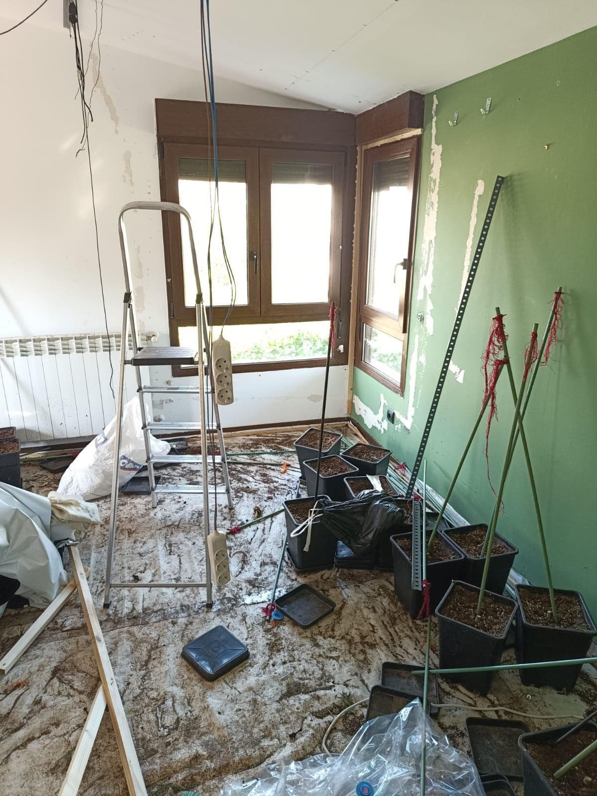 Inmueble recuperado en Miraflores de la sierra Vivienda usada para el cultivo de marihuana - Imagen 16