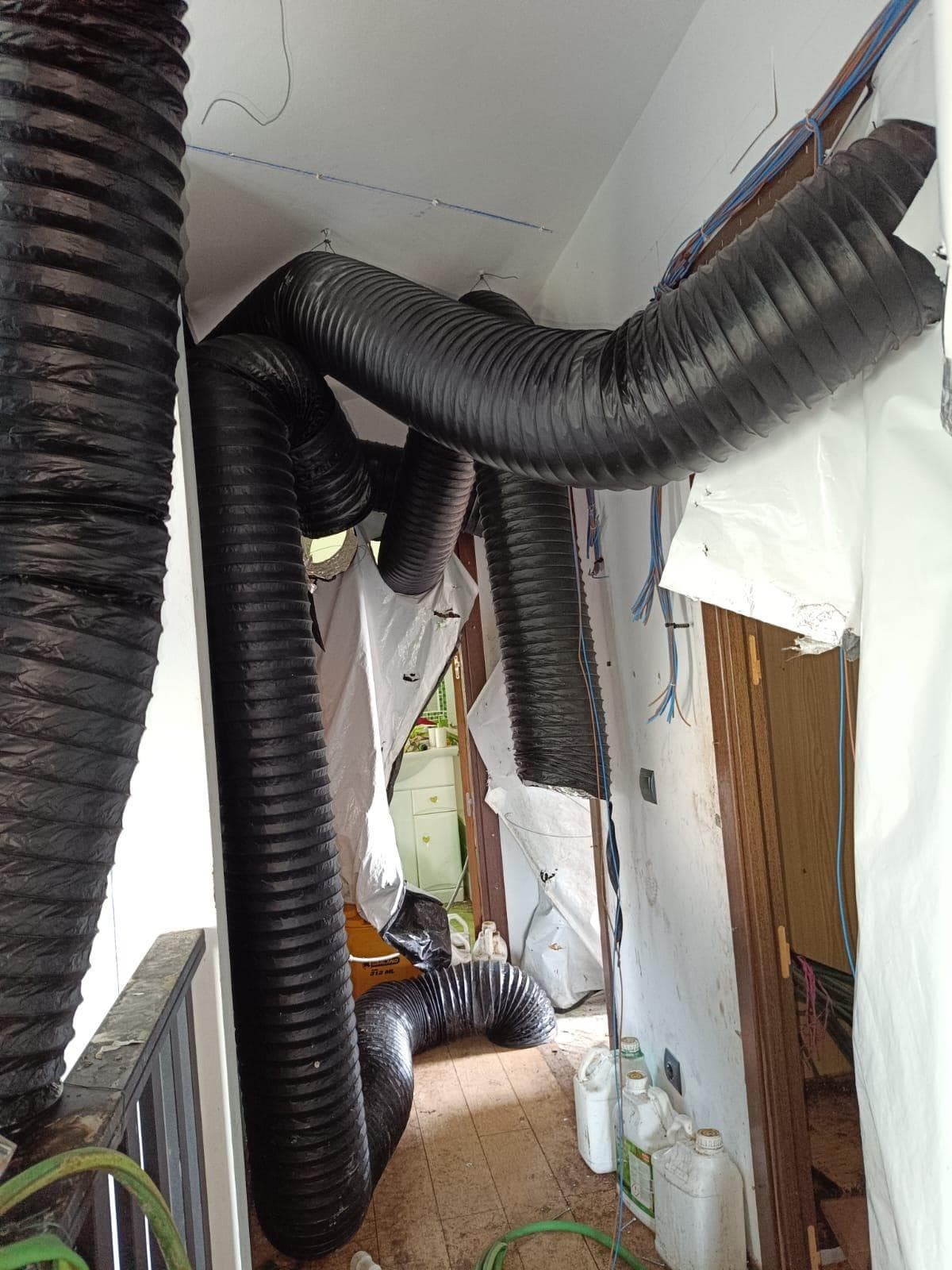 Inmueble recuperado en Miraflores de la sierra Vivienda usada para el cultivo de marihuana - Imagen 18