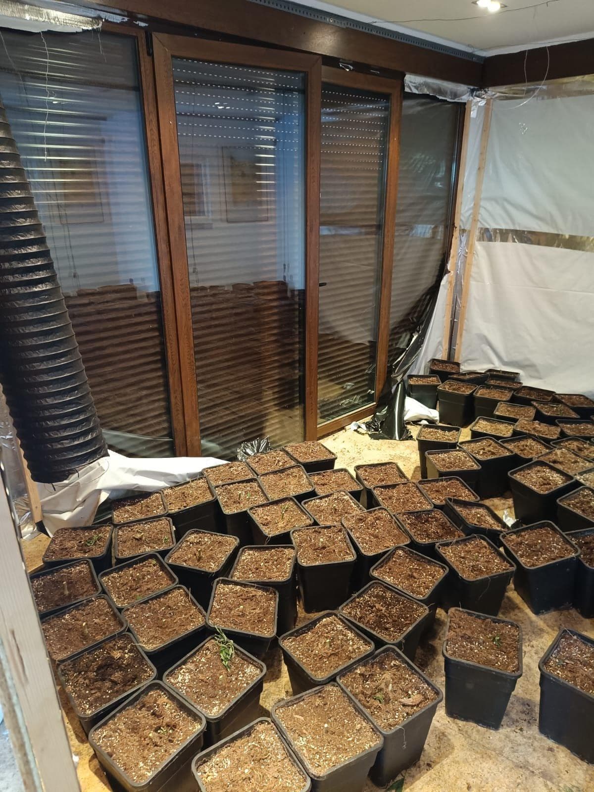 Inmueble recuperado en Miraflores de la sierra Vivienda usada para el cultivo de marihuana - Imagen 3