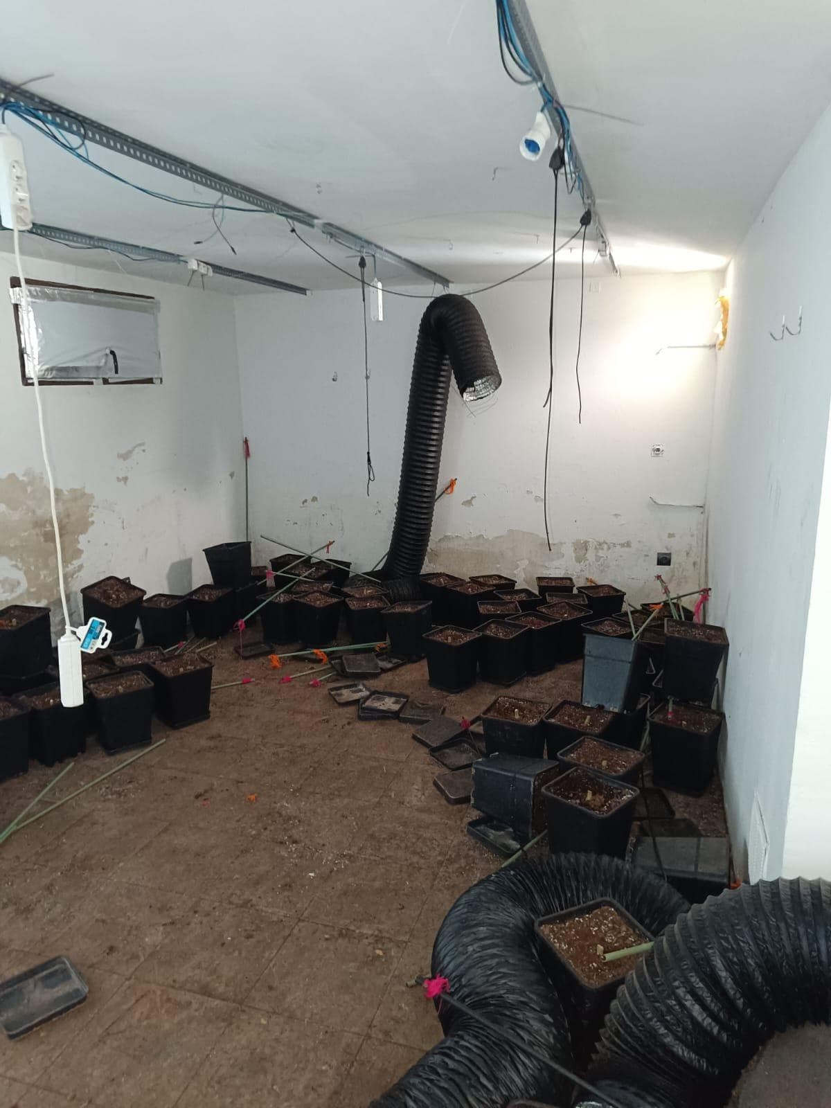 Inmueble recuperado en Miraflores de la sierra Vivienda usada para el cultivo de marihuana - Imagen 4