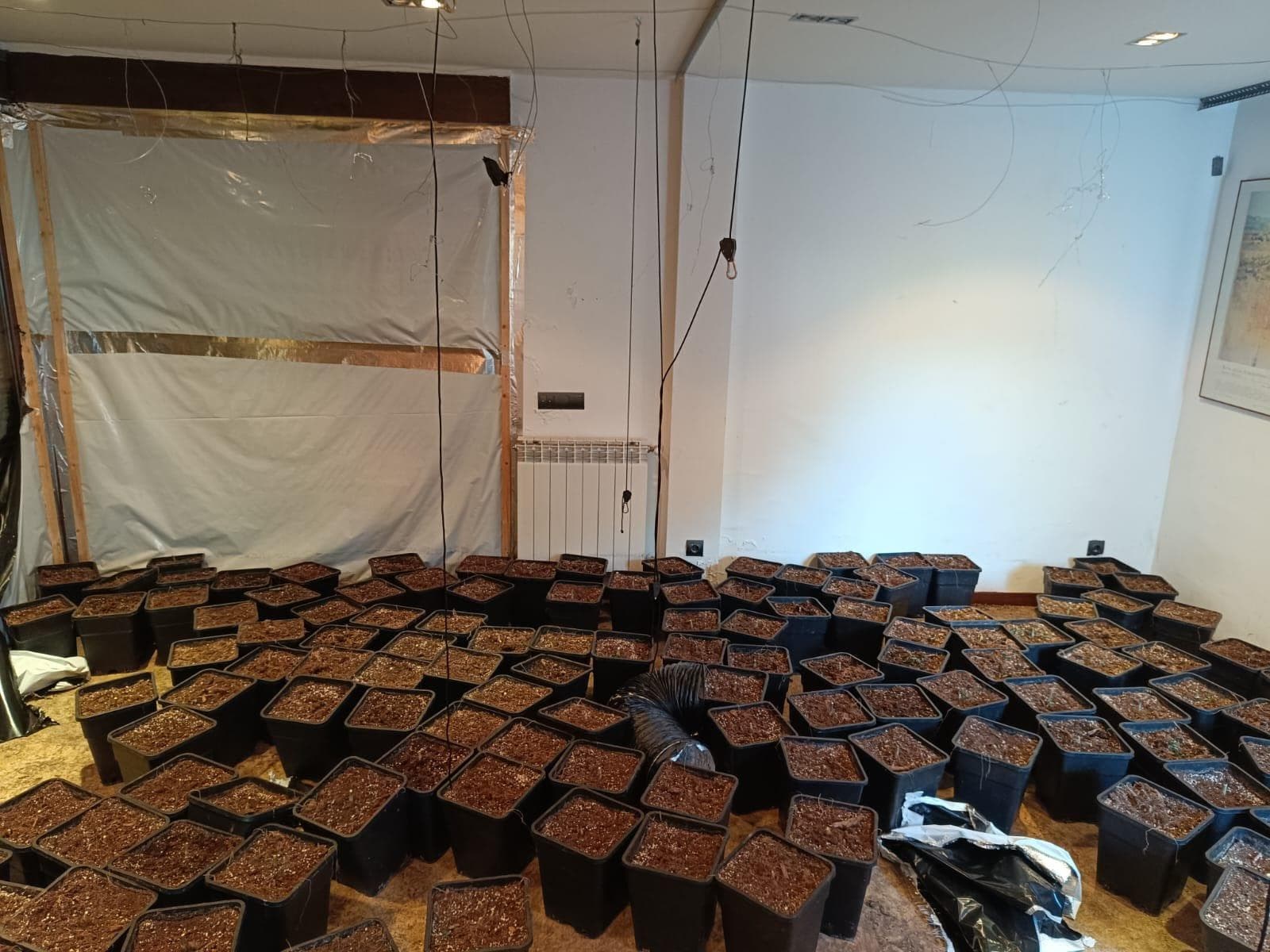 Inmueble recuperado en Miraflores de la sierra Vivienda usada para el cultivo de marihuana - Imagen 7