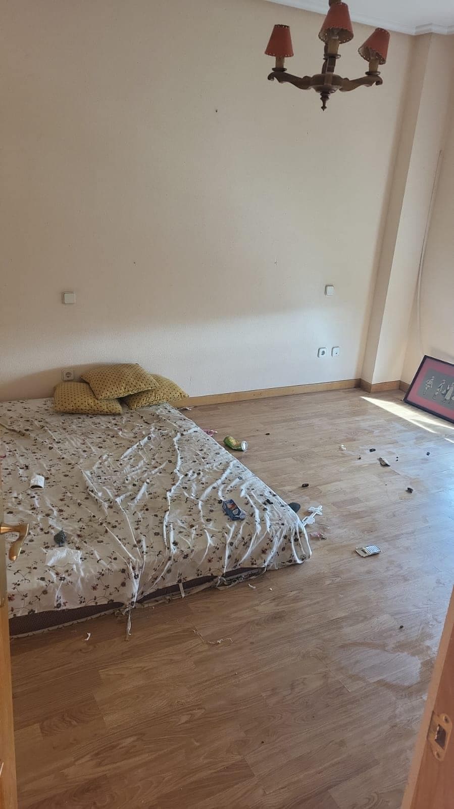 Inmueble recuperado Ocupación Ilegal Cabanillas del Campo - Imagen 14