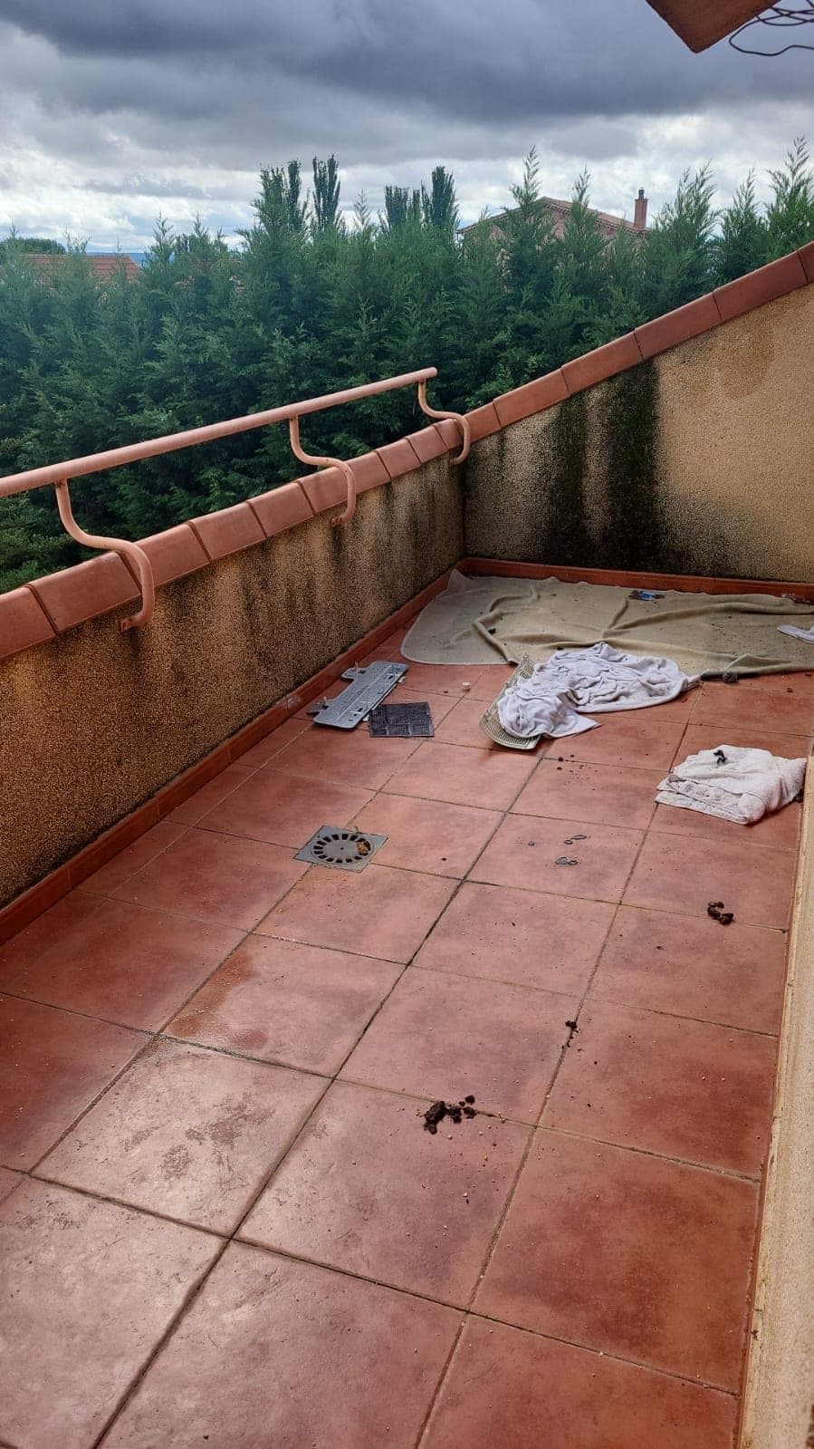 Inmueble recuperado Ocupación Ilegal Cabanillas del Campo - Imagen 15