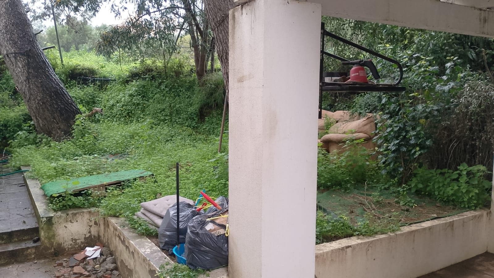 Inquilino en Precario en Sotogrande (Cádiz) - Imagen 5